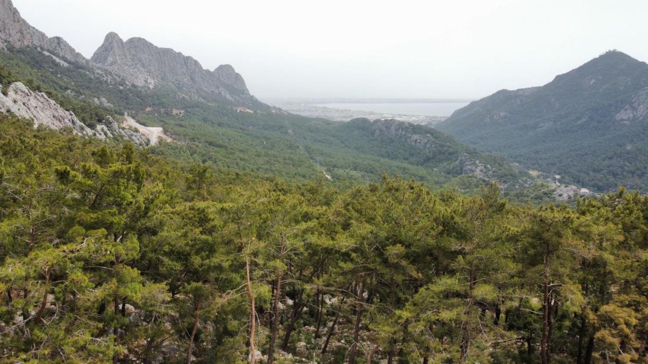 Silyan Villaları Antalya Dış mekan fotoğraf